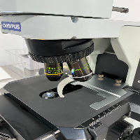 Olympus BX53 Microscope image 2